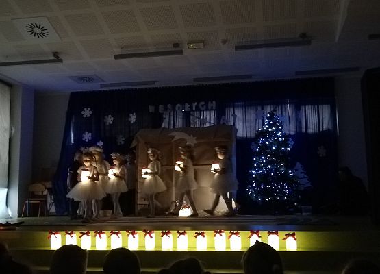 Grupa mrówki podczas występu.