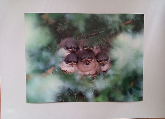 I miejsce - Jan Konkel