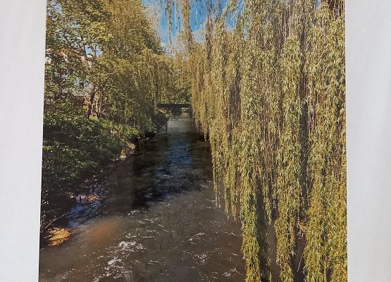 Wyróżnienie Mikołaj Kargul