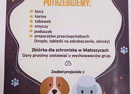 Informacja o zbiórce karmy dla bezdomnych  zwierząt.