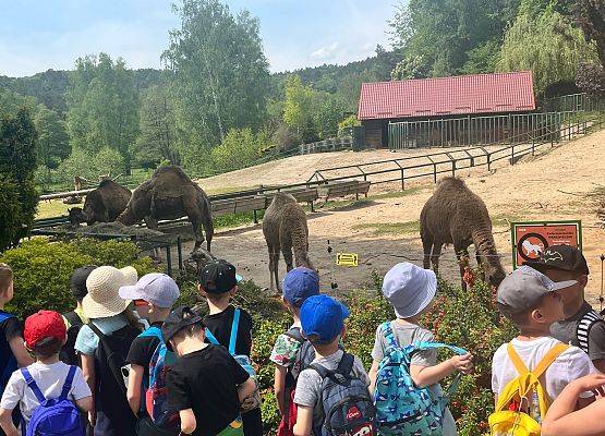 Dzieci podczas wizyty w ZOO.