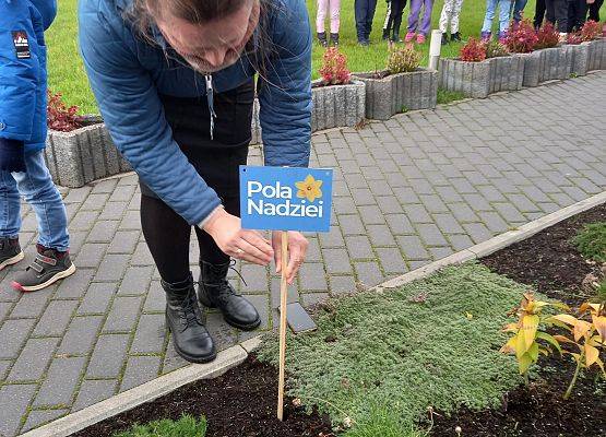 Przedszkolaki podczas sadzenia żonkili.