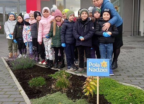 Przedszkolaki podczas sadzenia żonkili.