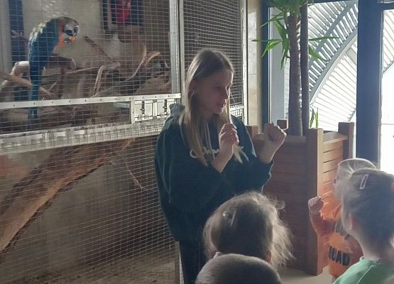 Grafika 1: Wycieczka.