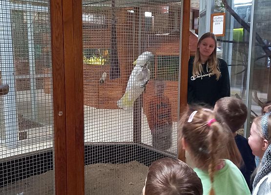 Grafika 2: Wycieczka.