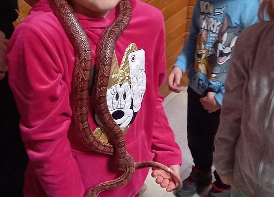 Grafika 4: Wycieczka.