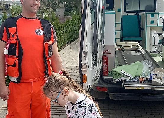 Grafika 1: Pierwsza Pomoc .