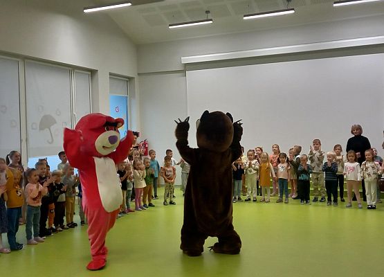 Grafika 3: Dzień Misia.