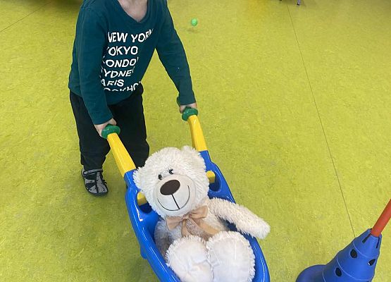 Grafika 11: Dzień Misia