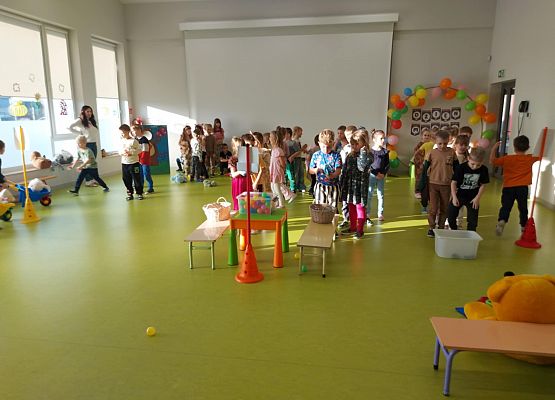 Grafika 15: Dzień Misia