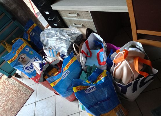 Grafika 2: Zbiórka dla schroniska