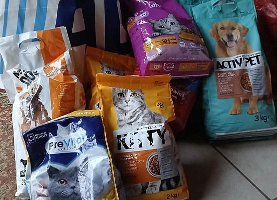 Grafika 4: Zbiórka dla schroniska