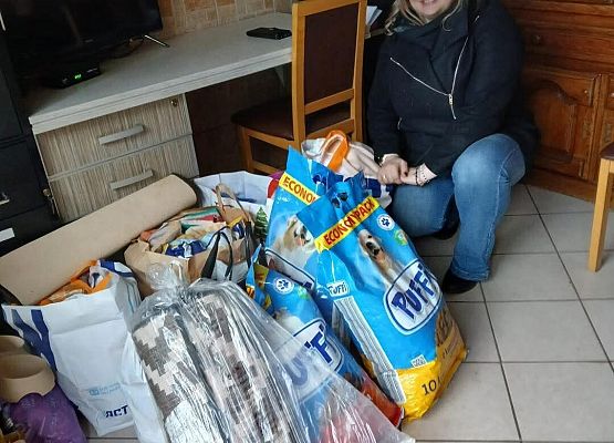 Grafika 3: Zbiórka dla schroniska