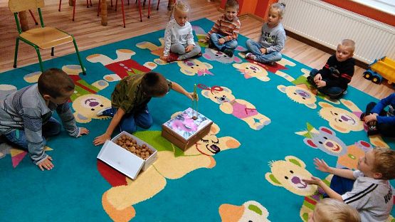 Grafika #5: Zajęcia codzienne gr. IV