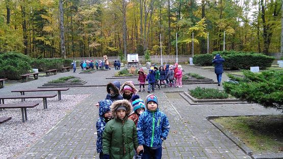 Grafika #6: Cmentarz w Krępie Kaszubskiej gr. III i IV